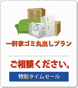 一軒家ゴミ丸出しプラン